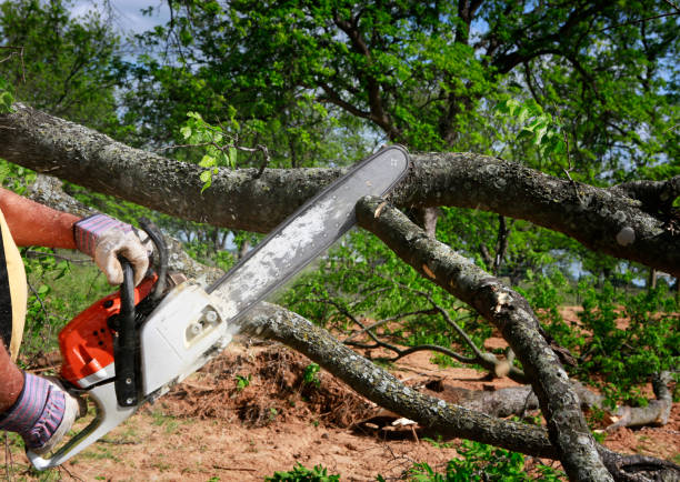 Lawn Irrigation Installation and Maintenance in Sudan, TX